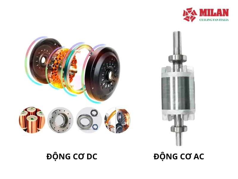 quat-tran-italia-nhap-khau-dong-co